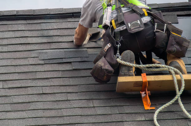 Best Roof Insulation Installation  in Lawrence, KS